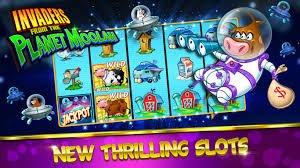 oxbet casino